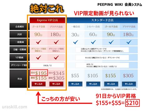 peeping wiki 料金|PEEPING WIKI（ピーピングウィキ）のVプリカ使用について